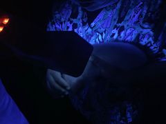 -派特宠物医院(圆融广场店)