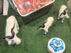 -宝记烧烤·碳锅羊肉·羊蝎子火锅·夜食社(文体路创始店)