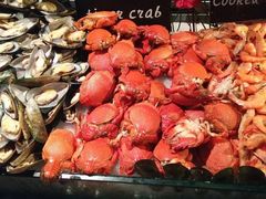 -星伦多 自助料理(圆融店)