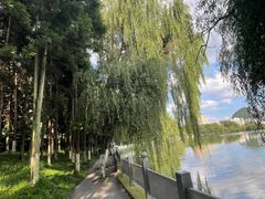 -凤池园