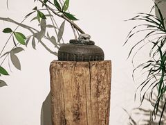 -成川茶店·潮汕工夫浓茶(万象店)