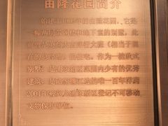 -临江宴(陆家嘴店)