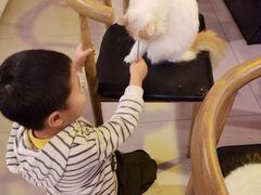 -平行世界·猫咖(首经贸店)