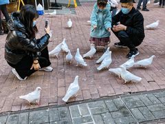 -王府井奥莱临潼小镇(临潼店)