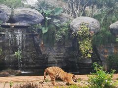 -海南热带野生动植物园