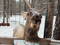 -北极村旅游风景区