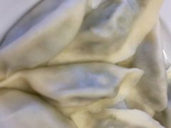 猪肉韭菜水饺-客临百思德·东北特色馆(龙湖时代天街店)