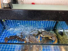 -碧海银沙海鲜餐厅(恒大海上威尼斯店)