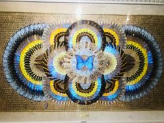 -上海昆虫博物馆