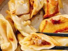 藤椒锅贴饺-昭德轩