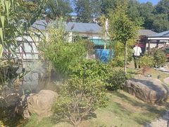 -湘力力小院·鱼汤泡饭(枫林路店)