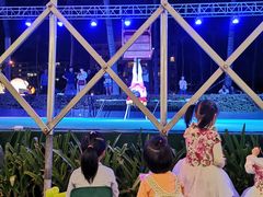 -渔家火锅·海鲜自助餐·演艺(亚龙湾天域酒店)