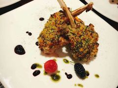 -百好乐宠物友好餐厅(朝外大街店)