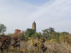 -荆轲塔