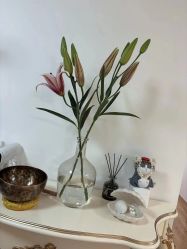 -美肤盾祛痘·问题肌头疗管理中心