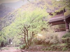 -民俗村柴火灶·景德江西菜(中国陶瓷博物馆店)
