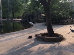 -祥源·阜阳生态乐园