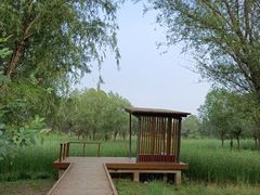 -东郊湿地公园