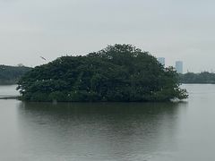 -海珠湖公园