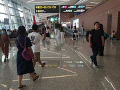 -合肥新桥国际机场-航站楼