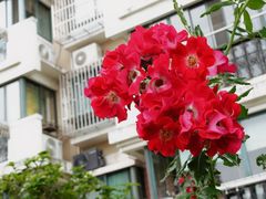 -川堂风·跷脚牛肉·乐山爆炒(中建乐荟天地店)