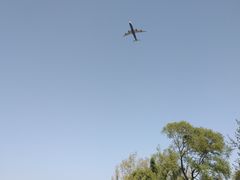-东郊湿地公园