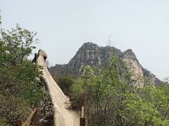 -大岭沟猕猴桃谷风景区
