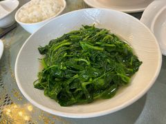 生煸豆苗-新聚丰菜馆(太监弄店)