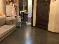 -宠爱国际动物医院·消化内科·心肾内科·ISFM猫友好(望京店)