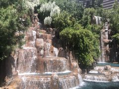 -拉斯维加斯永利酒店