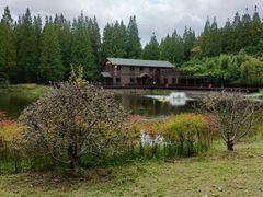 -黄海国家森林公园