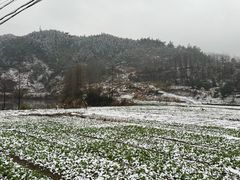 -安吉龙王山风景区
