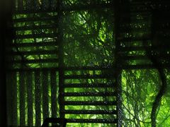 -海珠湖公园