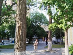 -护国法轮寺