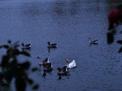 -沈阳“九·一八”历史博物馆