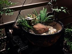 -老船坞餐厅(北京亚洲大酒店 )