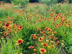 -永定河休闲森林公园