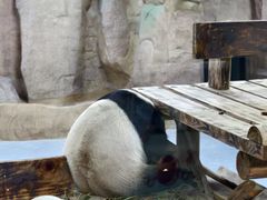 -无锡动物园·太湖欢乐园