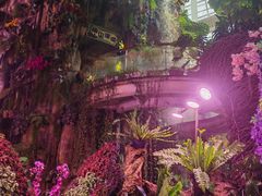 -正佳雨林生态植物园