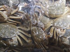 -四海蒸鲜蒸汽海鲜自助(北戴河店)