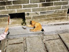 -三国赤壁古战场
