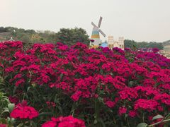 -松山湖梦幻百花洲