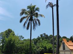 -中国科学院西双版纳热带植物园