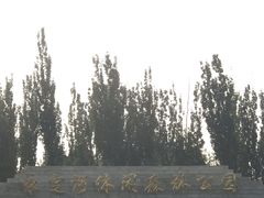 -永定河休闲森林公园