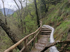 -妙道山国家森林公园