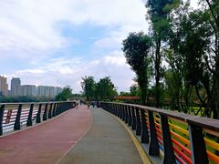 -府河摄影公园