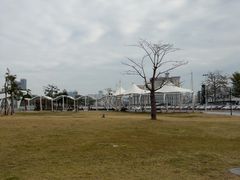 -澳门环岛游湾仔码头