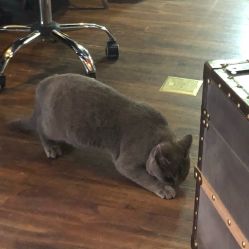 -飛凡TATTOO纹身•原创