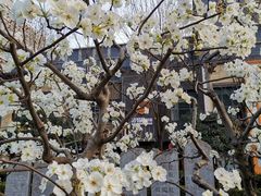 -木塔寺遗址生态公园