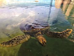 -福州罗源湾海洋世界旅游区